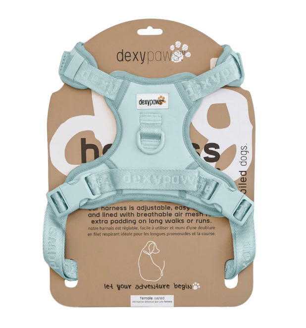 Ga00088 - Harnais bleu pour chiens - Dexypaws