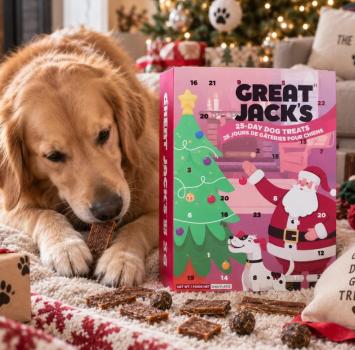Calendrier de l'avent pour chiens - Great Jack's