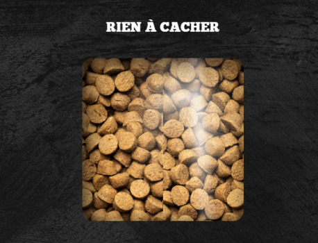 Nourriture sans grains pour chats à la viande rouge - Oven-Baked Tradition