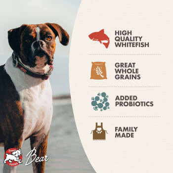 Nourriture pour chiens au poisson avec grains - Fromm Classic