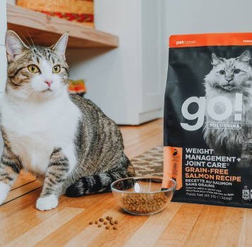 Nourriture pour chats sans grains au saumon - Go! Weight Management Joint Care