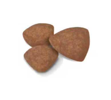 Nourriture pour chiots de petite race - Royal Canin