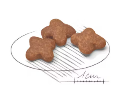 Nourriture pour chiens matures de petite race - Royal Canin