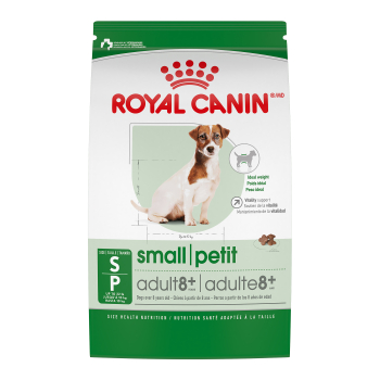 Nourriture pour chiens matures de petite race - Royal Canin
