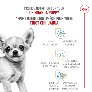 Nourriture pour chihuahua chiot - Royal Canin