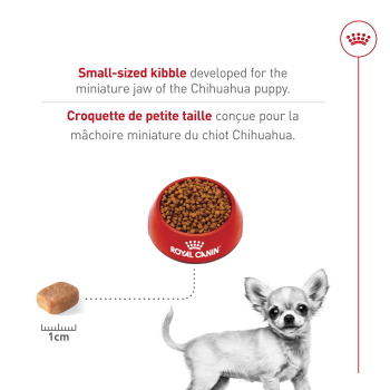 Nourriture pour chihuahua chiot - Royal Canin