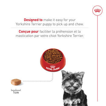 Nourriture pour yorkshire terrier chiot - Royal Canin