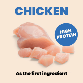 Conserve pour chiens au poulet, à l'oeuf  et à l'ananas en sauce - Almo Nature