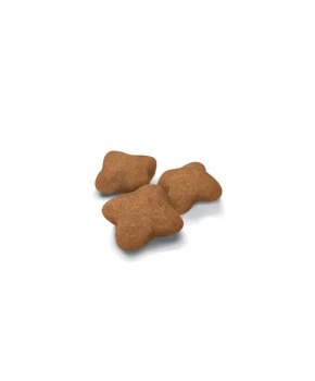Nourriture pour chaton stérilisé - Royal Canin