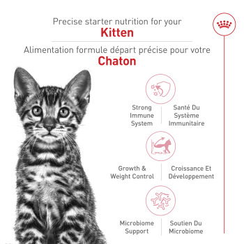 Nourriture pour chaton stérilisé - Royal Canin