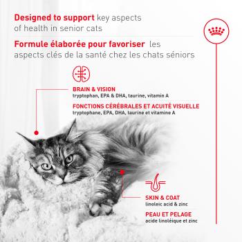 Nourriture pour chat âgé - Royal Canin