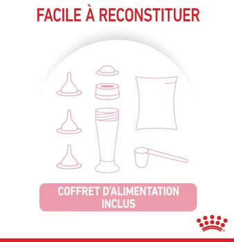 Lait maternisé pour chatons - Royal Canin