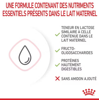 Lait maternisé pour chatons - Royal Canin
