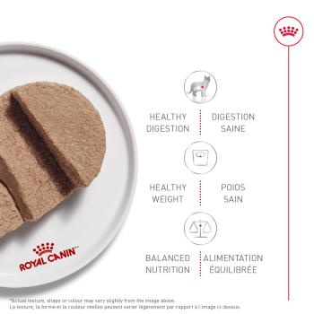Nourriture en conserve soin digestif pour chats - Royal Canin