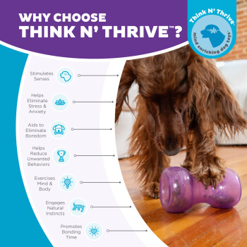 Balle crevasse double interactive pour chiens - Outward Hound
