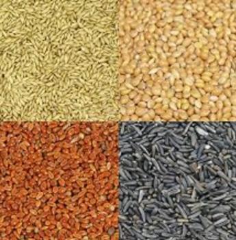 Mélange de graines enrichies pour pinsons - Hagen