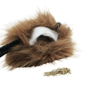 Peluche hérisson avec pochette pour herbe à chat - Büd'z