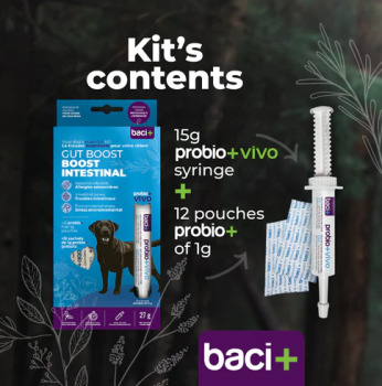 Boost intestinal en deux étapes pour chiens - Baci+
