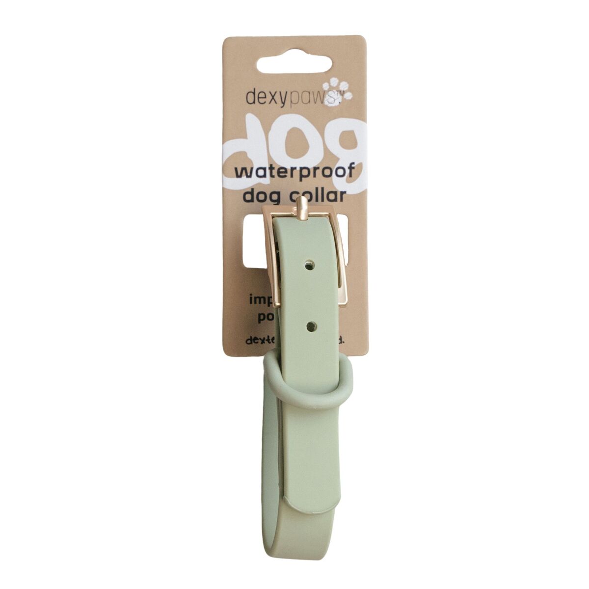 Ga00103 - Collier imperméable sauge pour chiens - Dexypaws