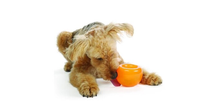 Balle crevasse interactive Orbee-Tuff Snoop vert pour chiens - Planet Dog