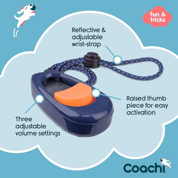 Cliqueur d'entraînement pour chiens avec dragonne -  Coachi