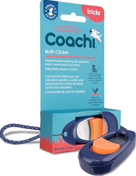 Cliqueur d'entraînement pour chiens avec dragonne -  Coachi