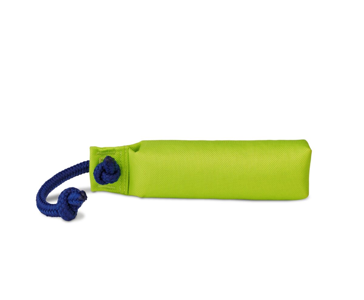 D2424 - Flotteur d'entraînement vert pour chiens - Coachi