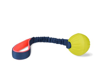 Corde d'entraînement avec balle pour chiens - Coachi
