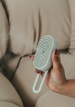Brosse électrique à étrille vaporisant  pour animaux - Dexypaws