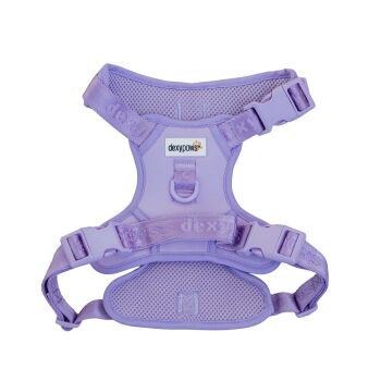 Harnais lilas pour chiens - Dexypaws