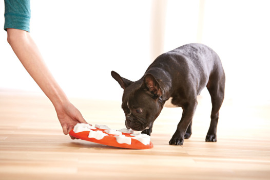 Jeux interactif Pattes Orange niveau 1 pour chiens - Outward Hound