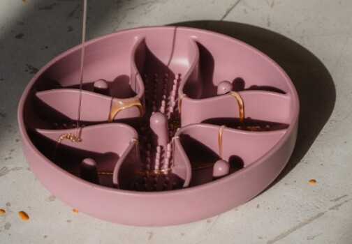 Bol anti-glouton pour animaux rose - Dexypaws