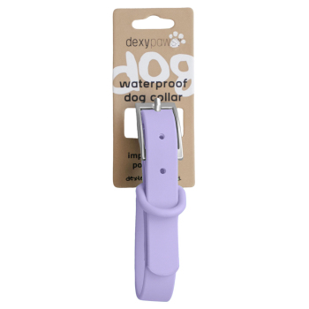 Collier imperméable lilas pour chiens - Dexypaws