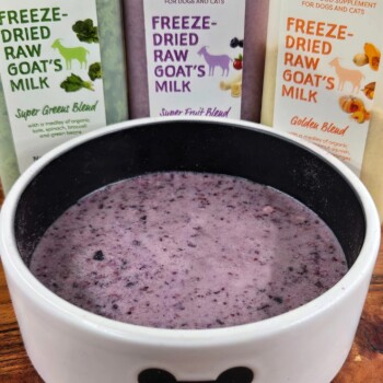 Lait de chèvre mélange de fruits pour animaux - Shepherd Boy