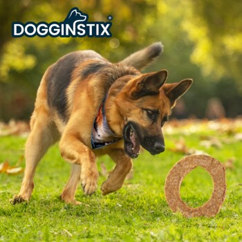 Anneau de collagène d’agneau pour chiens - Dogginstix