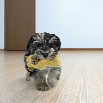 Peluche lama Snuzzles mini pour chien - Kong