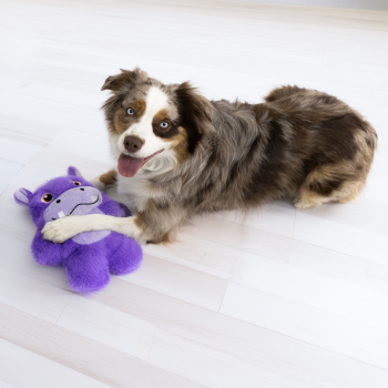 Peluche hyppo Snuzzles XL pour chien - Kong