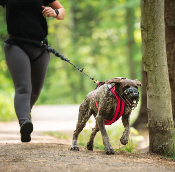 Harnais hybride aqua pour chiens - Nahak