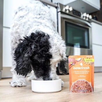 Nourriture humide poulet et riz pour chien - Now Fresh