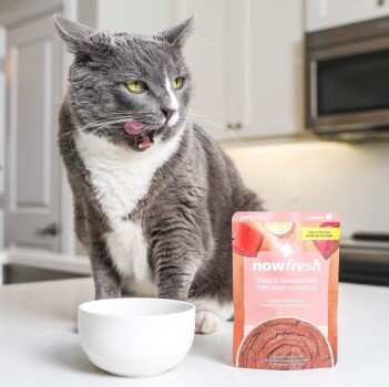 Nourriture humide sans grains au thon et saumon pour chats - Now Fresh