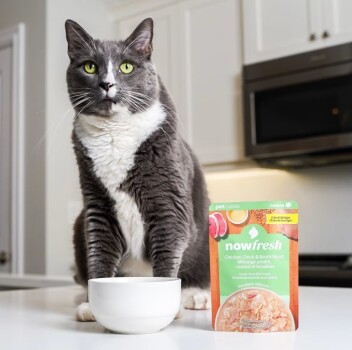 Nourriture humide sans grains poulet, canard et bouillon pour chat - Now Fresh