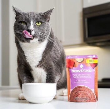 Nourriture humide sans grains au thon et saumon pour chats âgés - Now Fresh