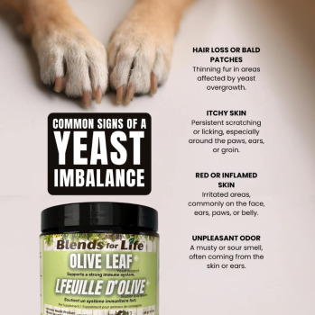 Supplément feuille d'olive pour animaux - Blends for Life