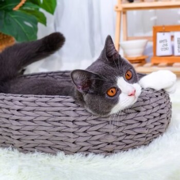 Panier rond Buttercup gris pour animaux - PetPals