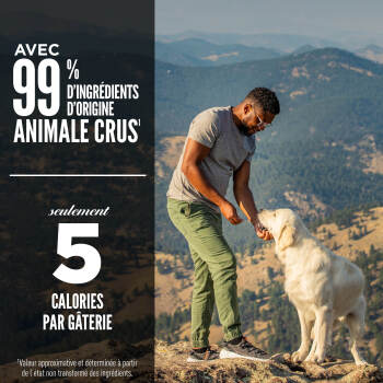 Gâteries lyophilisées recette tundra pour chien - ORIJEN