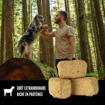 Gâteries lyophilisées recette tundra pour chien - ORIJEN