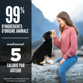 Gâteries lyophilisées recette au boeuf pour chien - ORIJEN