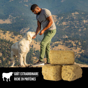 Gâteries lyophilisées recette au boeuf pour chien - ORIJEN