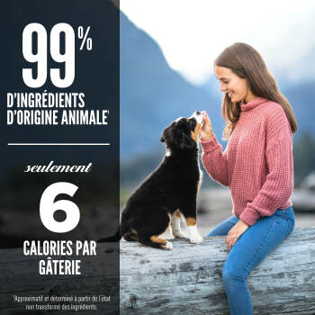 Gâteries lyophilisées recette à l'agneau pour chien - ORIJEN