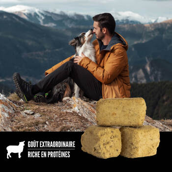 Gâteries lyophilisées recette à l'agneau pour chien - ORIJEN